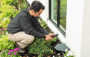 tech inspecting rodent station photo